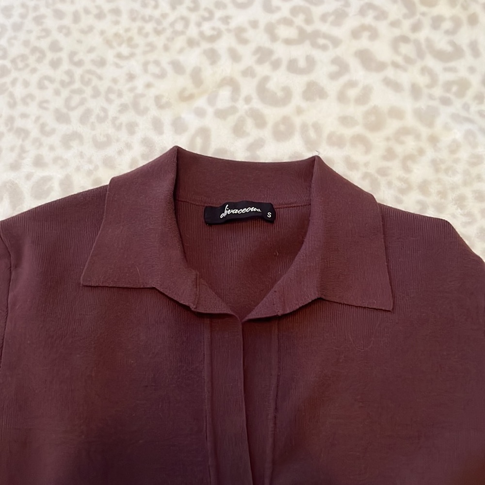 Brown Collard Cropped Button Down Top - image 3
